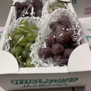 【ぶどう味くらべ2種盛】紅瑞宝•ピオーネ2kg箱