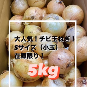 リクエスト企画✨丸ごとスープに❗️淡路島チビ玉ねぎ❗️（Sサイズ）