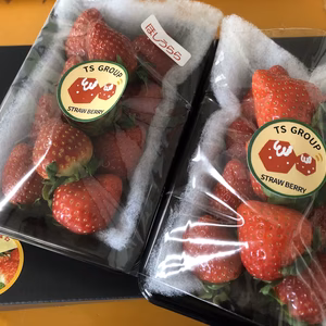 四日市産イチゴ（2パック）