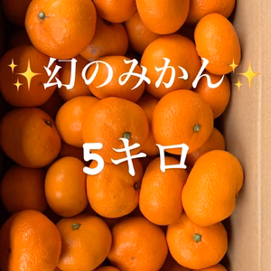 ✨幻のみかん✨　5キロ