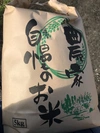 令和2年度産 熊本県産 ヒノヒカリ 玄米