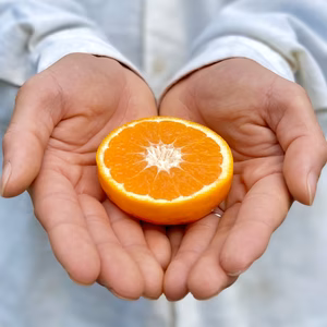 【希少】はれひめ【生産量の少ないレア品種】