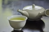 【新緑の味わい】新茶　やぶきた　100g平袋入