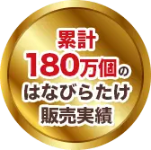 はなびらたけ80ｇ 10袋入