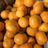 糖度みかん