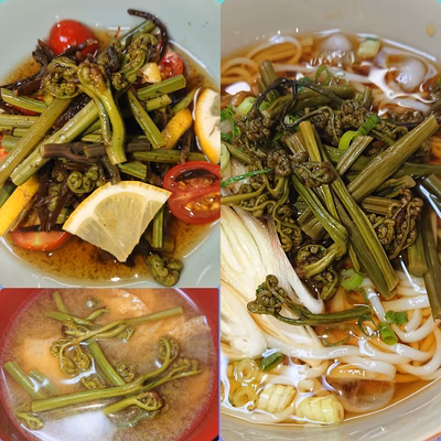 みんなの投稿の画像