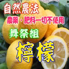 自然農法　舞祭組レモン2ｋｇ（農薬・肥料一切不使用）最終