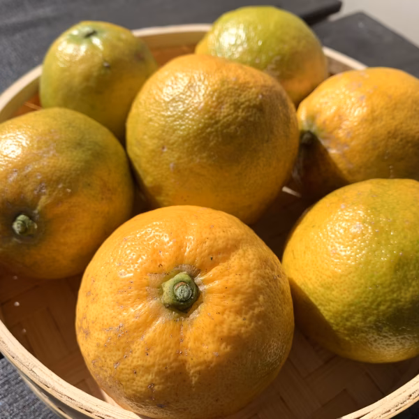 甘いレモン！レモネード【農薬不使用】1.5kg