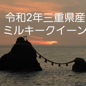 令和2年産新米ミルキークイーン2キロ