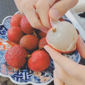 ★【再販します‼】★石垣島 朝採りライチ 500g★【5箱限定！】