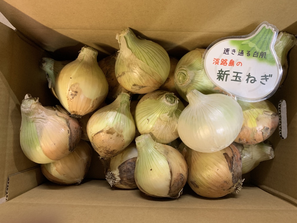 訳ありかも5k ホワイトベアー入り 淡路島新玉ねぎ 農家漁師から産地直送の通販 ポケットマルシェ
