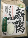 新潟のこりゃまた美味いお米(*´∀｀*)　新潟産  コシヒカリ