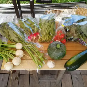 北海道十勝のおまかせ固定種野菜セット　7品目以上(農薬化学肥料不使用)
