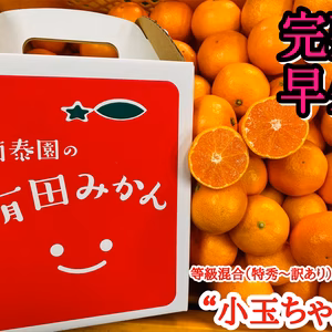 【完熟早生・有田みかん】“小玉ちゃん”／等級混合・約2.2kg【南泰園】
