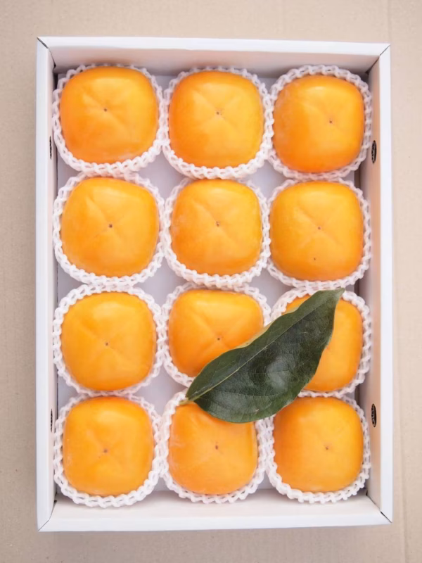 和歌山県産平たねなし柿（贈答用）