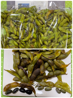 みんなの投稿の画像