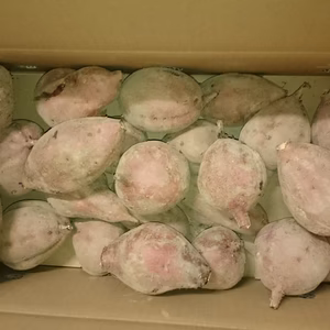 熟成お手頃Sサイズ1キロ箱何セット？