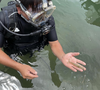 《全国発送可》あまくてぷりぷり活き車海老 1.5kg