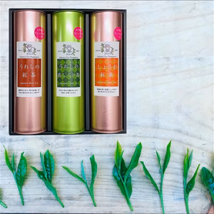 【ハイカラギフト】3缶入（うれしの蒸し製ぐり茶・しょうが紅茶・うれしの紅茶）