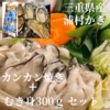 【生牡蠣】【生食用】 むき身300ｇ＋カンカン焼きセット 三重県産  浦村かき