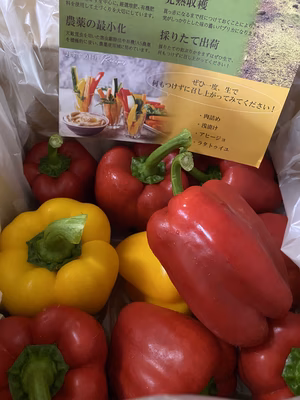 みんなの投稿の画像