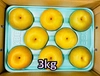 梨「幸水」良品　長野県産　数量限定　約3kg