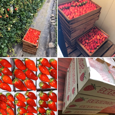 みんなの投稿の画像