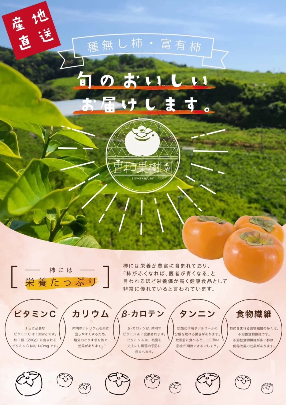 最終です☆富有柿☆家庭用大容量Mサイズ二段３６個入り（7.0キロ超）