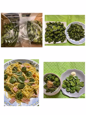 みんなの投稿の画像