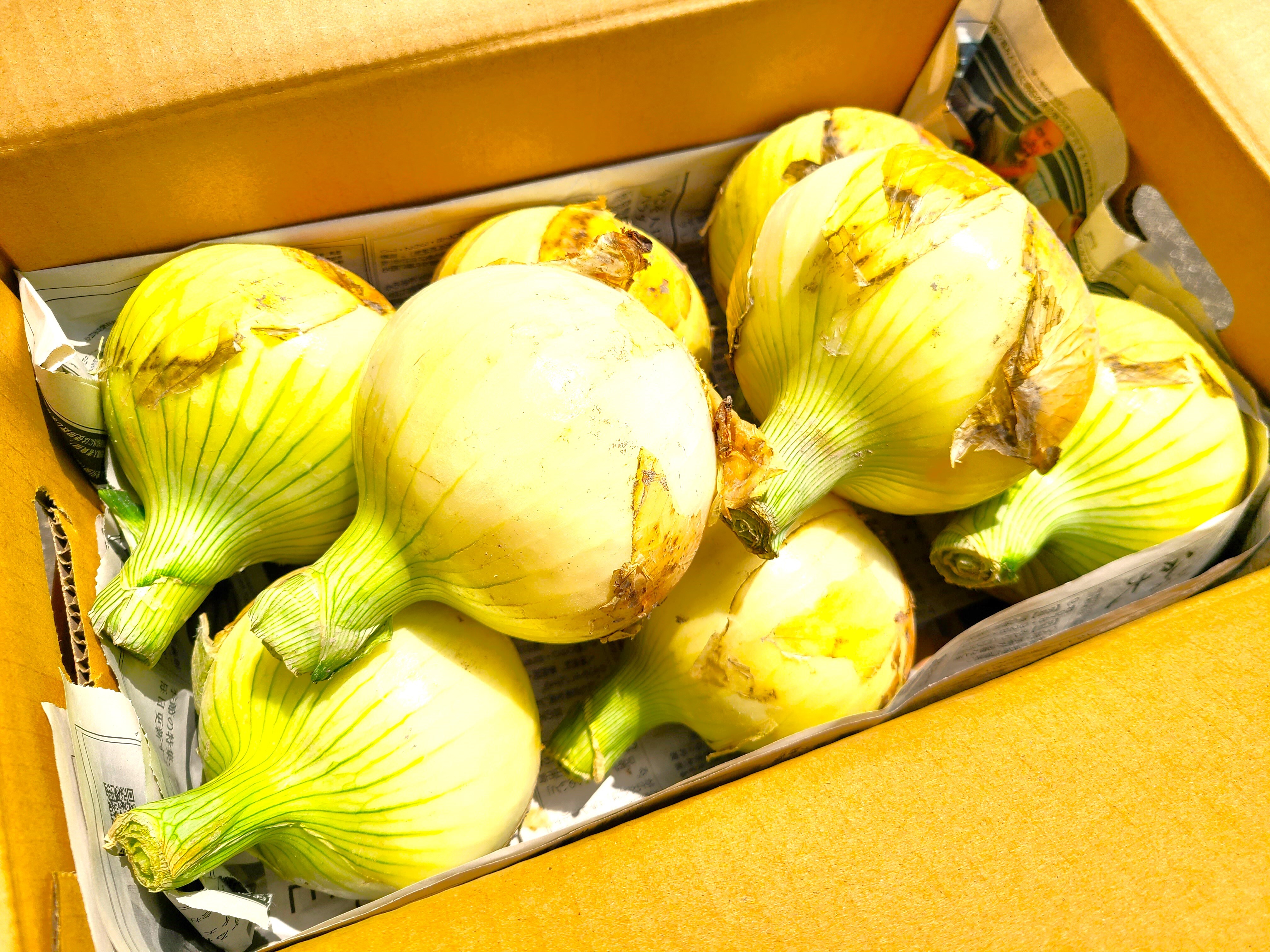 玉ねぎ　３体セット 淡路島の極味玉ねぎ® 3kg | 淡路島の玉ねぎ
