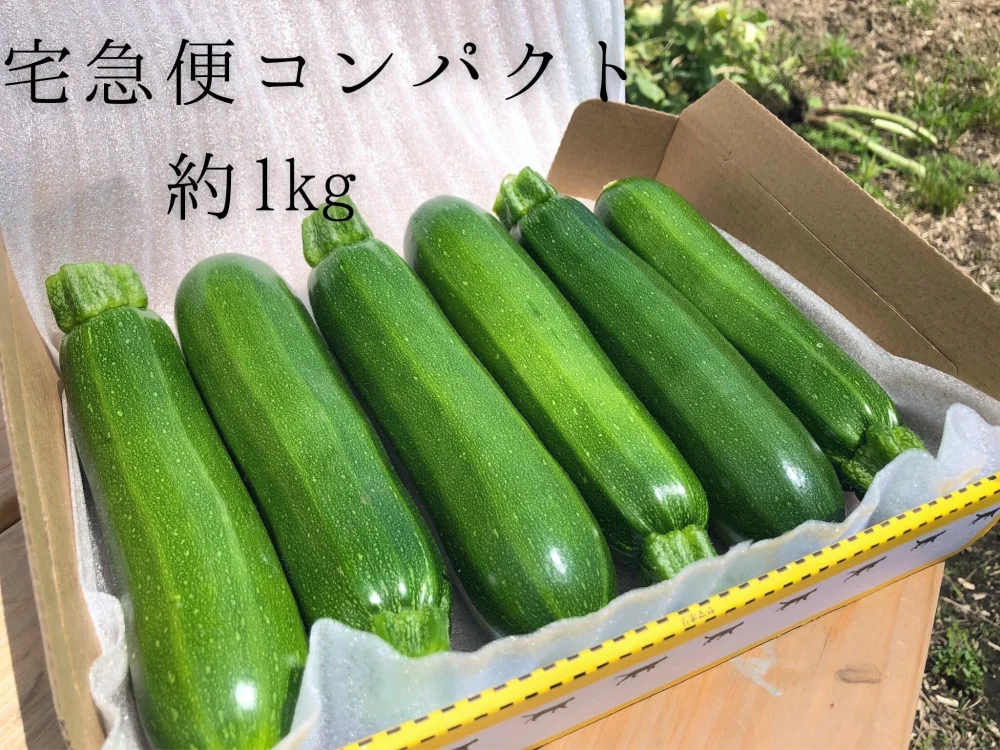  送料一律!! ズッキーニ リピーター多数♪ 愛情いっぱい　保存袋付き 