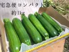  送料一律!! ズッキーニ リピーター多数♪ 愛情いっぱい　保存袋付き 