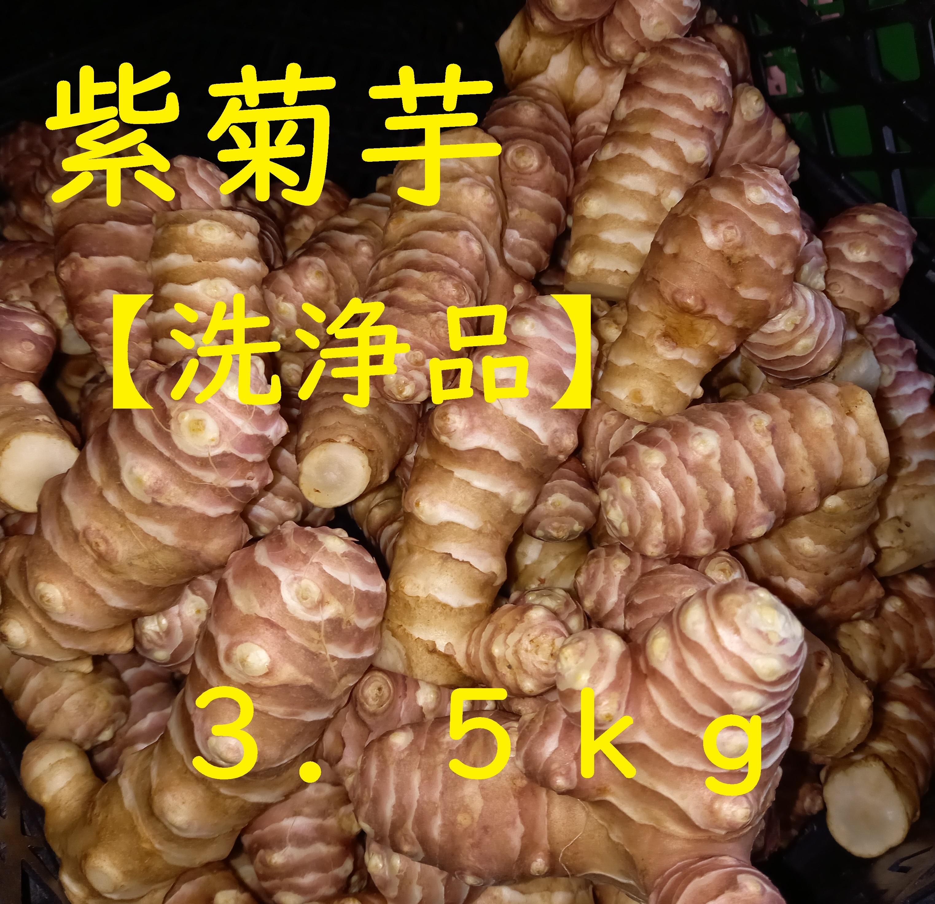 紫菊芋の産直通販・お取り寄せ商品｜ポケットマルシェ｜産地直送で旬の