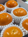 富有柿【送料無料】匠果樹園（秀品／Lサイズ／6玉）