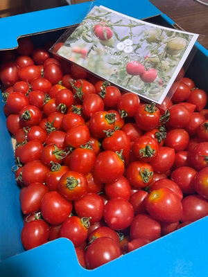 みんなの投稿の画像