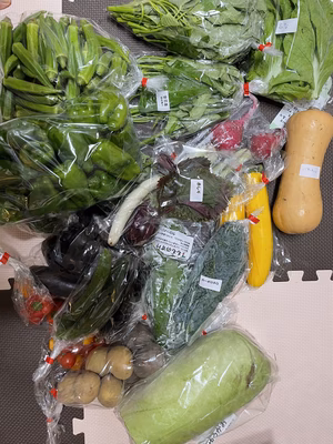 みんなの投稿の画像