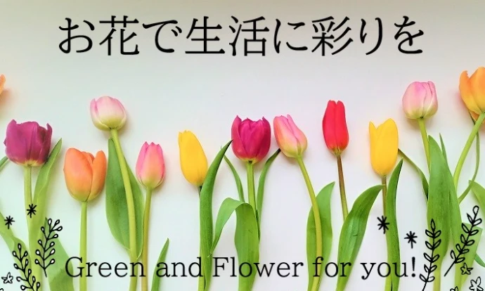【予約販売】6月中旬以降発送　新潟県産　カラー切り花　