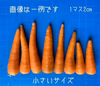 砂地栽培 新鮮なにんじん とれたて人参 箱込5キロ 内容選択可能