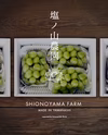 【訳あり2kg】まろやかな甘みと高貴な香り！山梨県産シャインマスカット2k前後