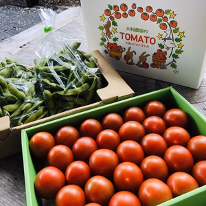 甘くて旨いトマト（中玉トマト）と旨い枝付き枝豆（茶豆風味）のセット