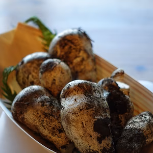 特価!◆ニセコ産◆白松茸(モミタケ)きのこ