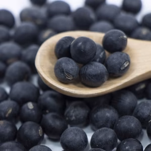 【新豆】有馬温泉の麓発 丹波黒豆 中粒 丹波黒大豆 黒豆煮・煮豆用に レシピ付