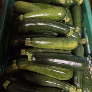 【訳あり】ズッキーニ　群馬県東吾妻町産　13kg