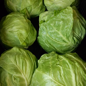 GWにイチオシ！BBQ野菜セット（農薬は使ってません）