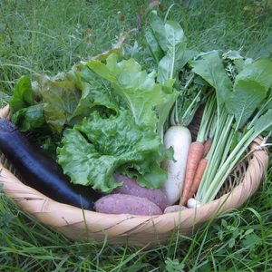 瀬戸内よりお届け！旬の野菜詰め合わせ便　Sサイズ（６～７品目）