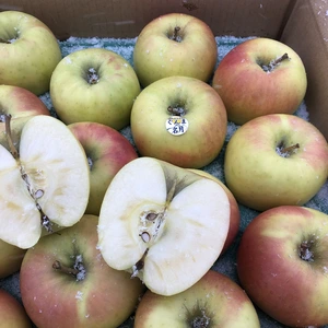 青森りんご　ぐんま名月　贈答用　3キロ　女性に人気の、甘いりんご。