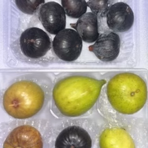 　本日の朝市❗️世界のイチジク食べ比べセット&ビオレソリエス極小玉