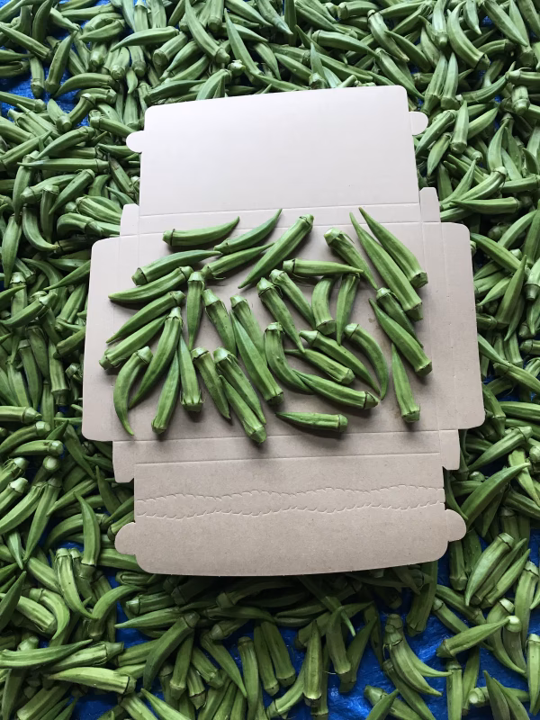 【鹿児島産】甘塩オクラ箱込み500g^_^