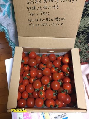 みんなの投稿の画像