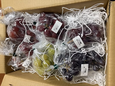 みんなの投稿の画像